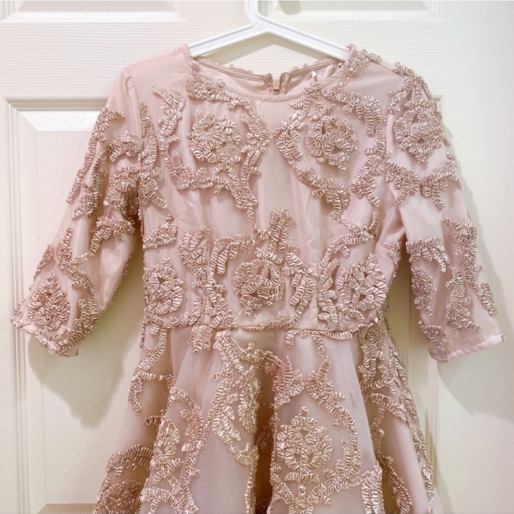 Mesh Dress - Picture 4 of 6